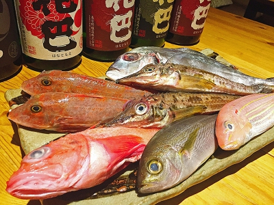 魚と日本酒と芳寿豚のうまい店 だんらん家 日本酒は料理をおいしく食べるためにある 日本酒と魚料理の至福のマリアージュが楽しめる大人の隠れ家 大阪 東梅田 魚と日本酒と芳寿豚のうまい店 だんらん家 レポハピ