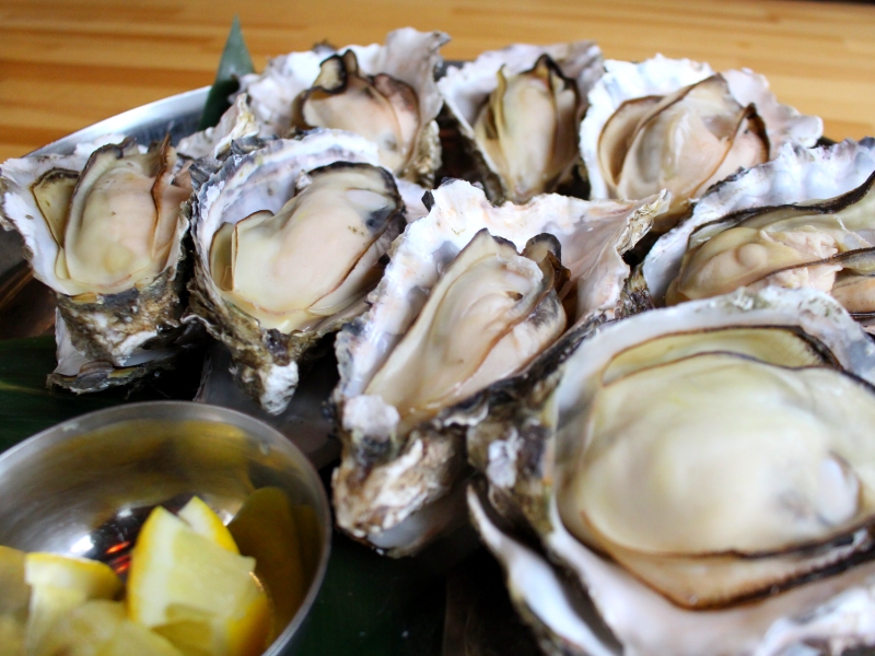 ビジネス街の海の家でプリップリの牡蠣をリーズナブルに味わい尽くす!(大阪市 中央区 酒蔵鍋 本町店) ビジネス街の海の家でプリップリの牡蠣をリーズナブルに味わい尽くす!(大阪市 中央区 酒蔵鍋 本町店)|酒蔵鍋 本町店