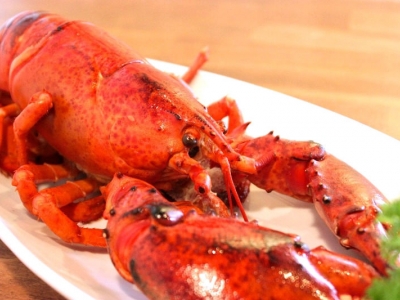 エビ好きが作るエビ好きのための、エビバル！エビ色の壁の向こうでエビ比べしたくなるお店！（広島　袋町　エビバルCamaron）｜エビバルCamaron
