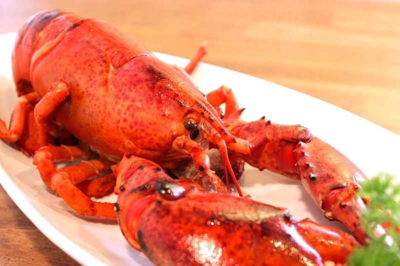 エビ好きが作るエビ好きのための、エビバル!エビ色の壁の向こうでエビ比べしたくなるお店!(広島 袋町 エビバルCamaron) エビ好きが作るエビ好きのための、エビバル!エビ色の壁の向こうでエビ比べしたくなるお店!(広島 袋町 エビバルCamaron)|エビバルCamaron