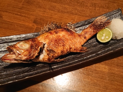 地産地消にこだわった四季折々の鮮魚と野菜、石川の人気地酒がズラリ！（金沢　片町　旬魚季菜とと桜）｜旬魚季菜　とと桜