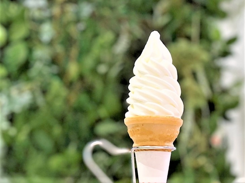 口の中に広がる濃厚で爽やかなミルクの甘味。後味すっきりのソフトクリームにはこだわりがいっぱい(東京 八王子 磯沼牧場 セレオ八王子店)