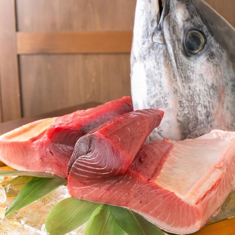 花ひで 市場で毎朝仕入れる季節の新鮮魚介と オーナーこだわりの日本酒をじっくりと味わう 愛知 古見 滋味活彩 花ひで レポハピ