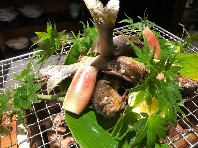 清流・長良川育ち、備長炭で焼く「天然鮎の塩焼き」は絶品!季節の幸にこだわる炭火割烹(名古屋市 昭和区 桜山らん)
