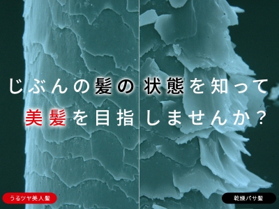 あなたの髪の状態をズバリ!「キューティクル診断」で美髪を目指しませんか?