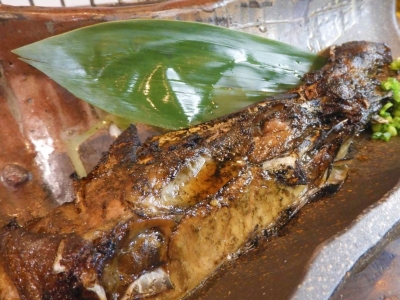 【千葉県 船橋市　山本炭焼店】焼師による豪快な炎の調理！「名物!!鮪カマの黒味醂山椒焼」毎朝市場から仕入れる鮮魚が評判の炉端居酒屋