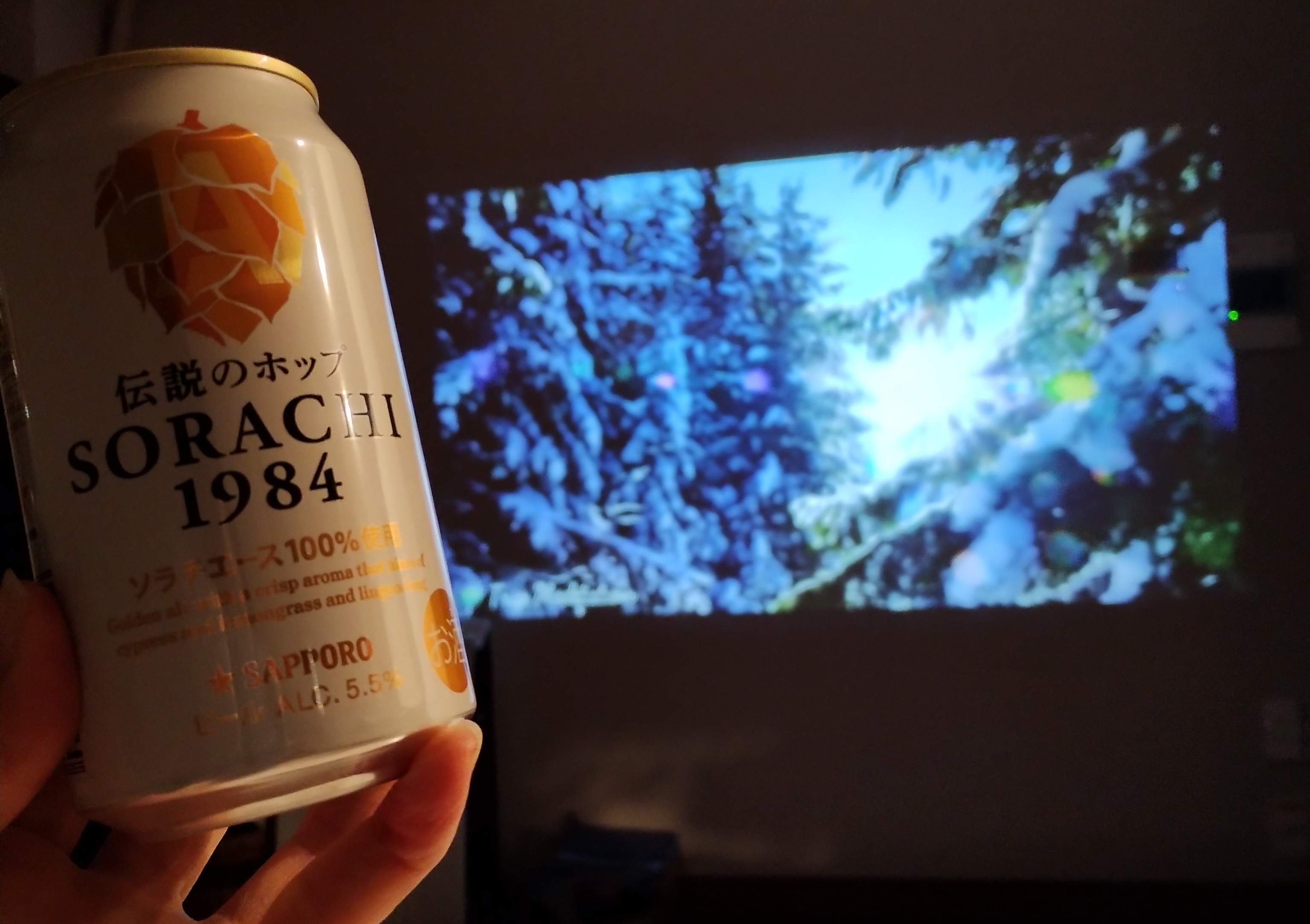 私の至福の時。
それは最近購入したプロジェクターで、大画面の美しい映像とともにお酒を飲む事。

伝説のホップSORACHIは爽やかな柑橘系の香りとともに、フルーティーで苦味も感じられる華やかな味わいが、大自然の映像に特に合うんです！

ホワイトの缶も冬にぴったりなビジュアル。お気に入りのビールです。

#レポハピ　#SORACHI
