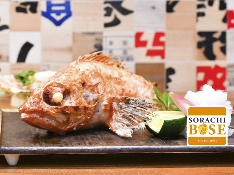 【東京 千代田区 北海道 炉端 えぞ羅】うまみが強く脂乗りも抜群!「羅臼産キンキ炭焼き」羅臼漁港全面バックアップの新鮮魚介が自慢の居酒屋 【東京 千代田区 北海道 炉端 えぞ羅】うまみが強く脂乗りも抜群!「羅臼産キンキ炭焼き」羅臼漁港全面バックアップの新鮮魚介が自慢の居酒屋|サッポロ SORACHI 1984