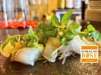 【京都市 左京区　Bar電球】藻塩や鮎の魚醤で風味豊かに仕上げた「白身のカルパッチョ」イタリアンと和食ベースの創作料理と店主厳選のお酒が堪能できるダイニングバー｜サッポロ　SORACHI 1984